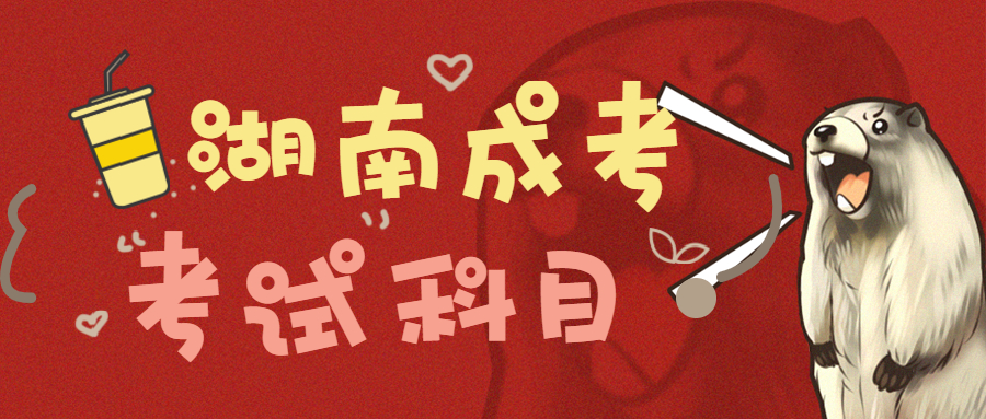 2021年湖南大學成考考試科目