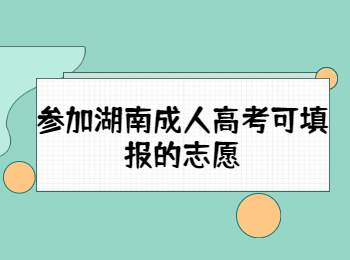 參加湖南成人高考可填報的志愿