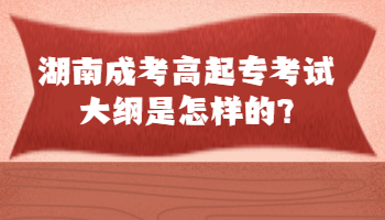 湖南成考高起專(zhuān)考試大綱