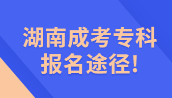 湖南成考專科報(bào)名