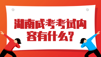 湖南成考考試內容