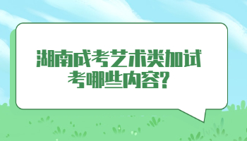 湖南成考藝術(shù)類(lèi)加試