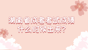 湖南省成考考試成績什么時候出來