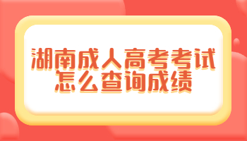 湖南成人高考考試怎么查詢成績